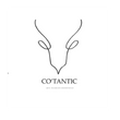 Cotantic_ Cliente Virtual CFO