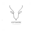 Cotantic_ Cliente Virtual CFO